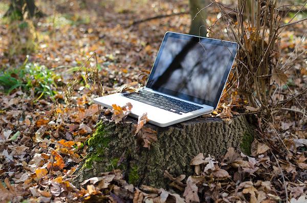 Laptop aufgeklappt auf einem Baumstumpf im Wald, umgeben von Blättern